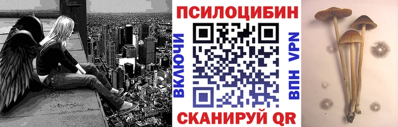 купить наркотик  OMG ТОР  Псилоцибиновые грибы GOLDEN TEACHER  Братск 